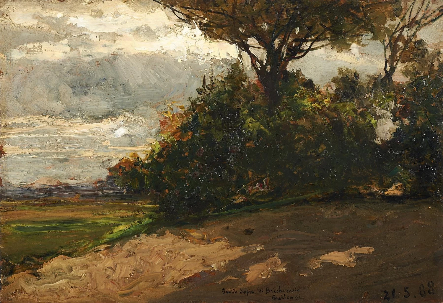Alberi e nubi di maggio